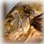 [Fisch]