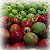 [Obst]